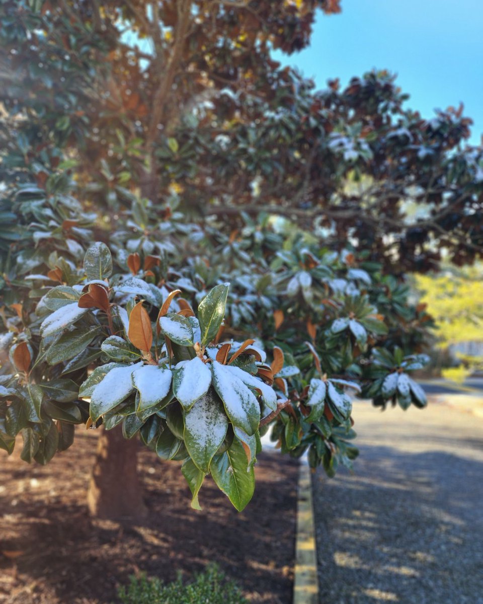 Bryce Lingo & Shaun Tull Team Rehoboth Real Estate tweet media