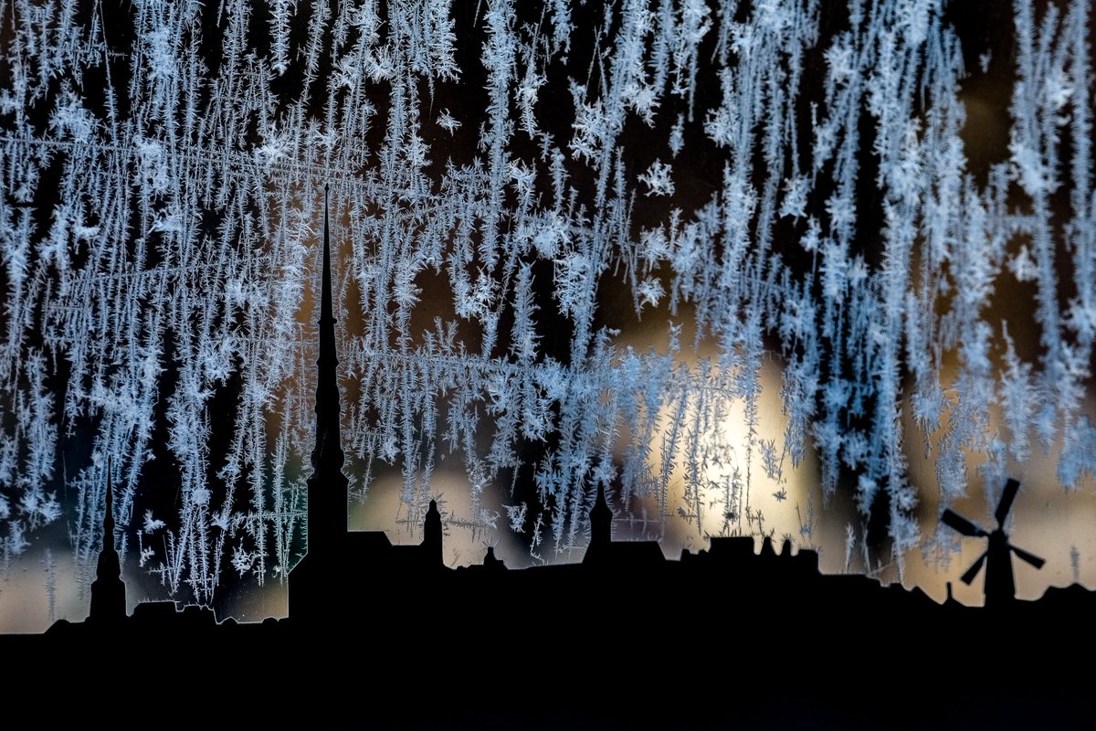 Foto: Edijs Pālens, <a href="/letanewslv/">LETA Ziņas</a>