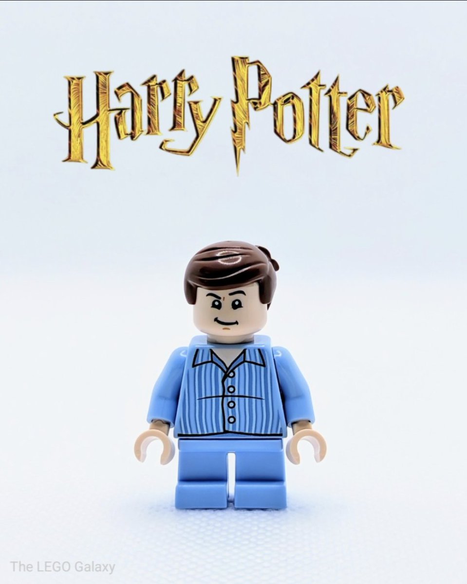 MINIFIGURE SPOTLIGHT - Today's spotlight - Dudley Dursley from #HarryPotter! Dudley is the bullying muggle cousin of Harry. This minifigure is from the 2021 Harry Potter Advent Calendar "Journey To Hogwarts" (76390).
#LEGO #AFOL #Toys #Hogwarts