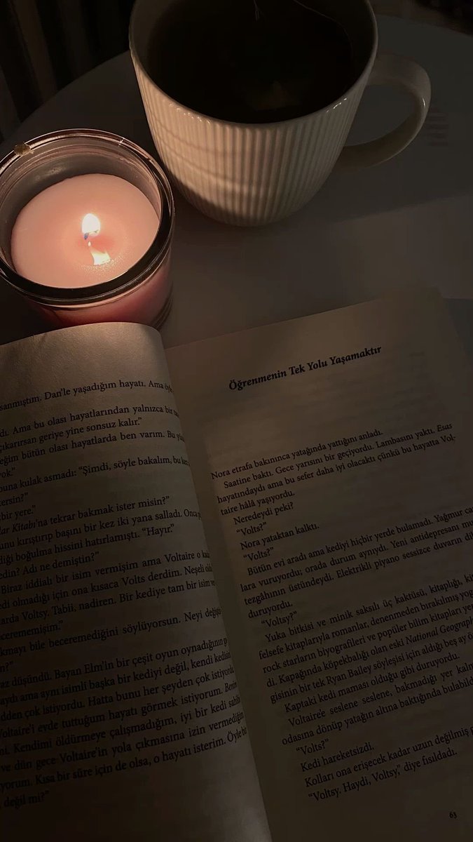 Arka fona şömine çatırtısı sesi 🎶☺️