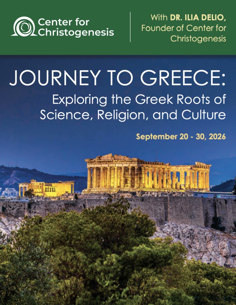 Steve McIntosh tweet media