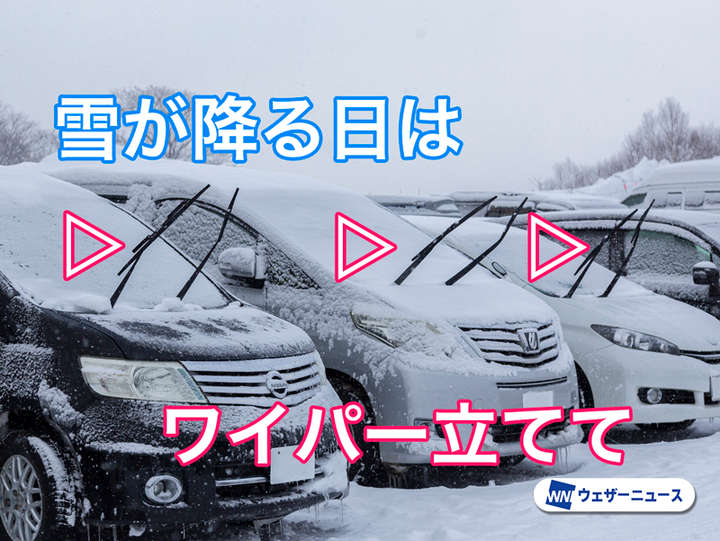 ＜車のワイパーを立てるのはなぜ？＞
降雪が予想される日には駐車した車のワイパーを必ず立てるようにしましょう。あまり雪が降らない地域の人にとってはピンと来ないかもしれませんが、立てたほうがいい理由を詳しく取材しました。
weathernews.jp/news/202601/20…