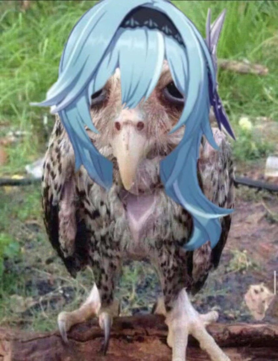 𑣲𝐄𝐔𝐋𝐀. tweet media