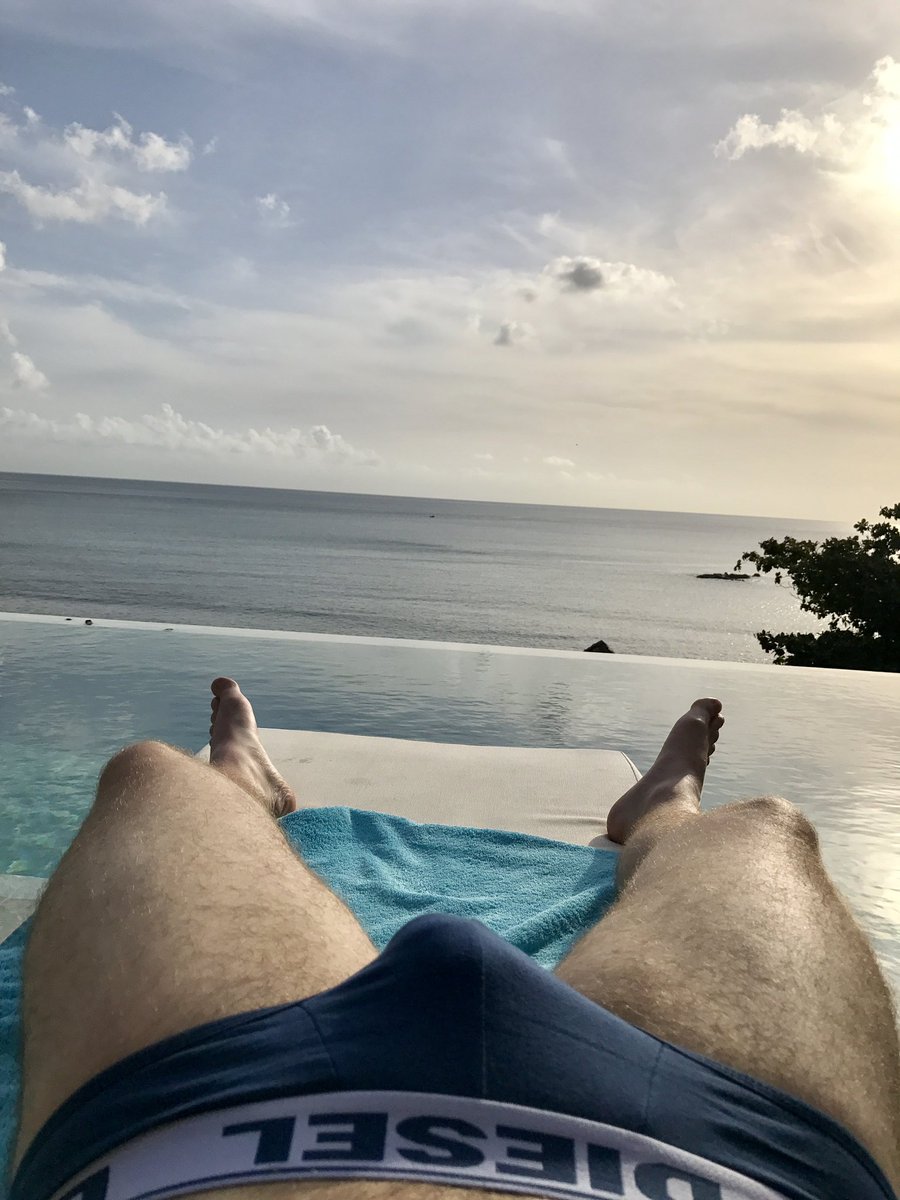 Dan tweet media
