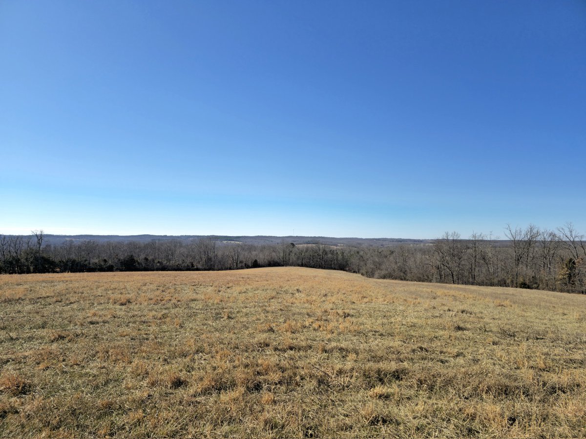 mkostial05's tweet image. Ozark view. #withGalaxy #GalaxyS24Ultra #ShotOnSnapdragon @samsungbusiness @SamsungMobile @SamsungMobileUS @SamsungUK @Snapdragon #snapdragoninsider