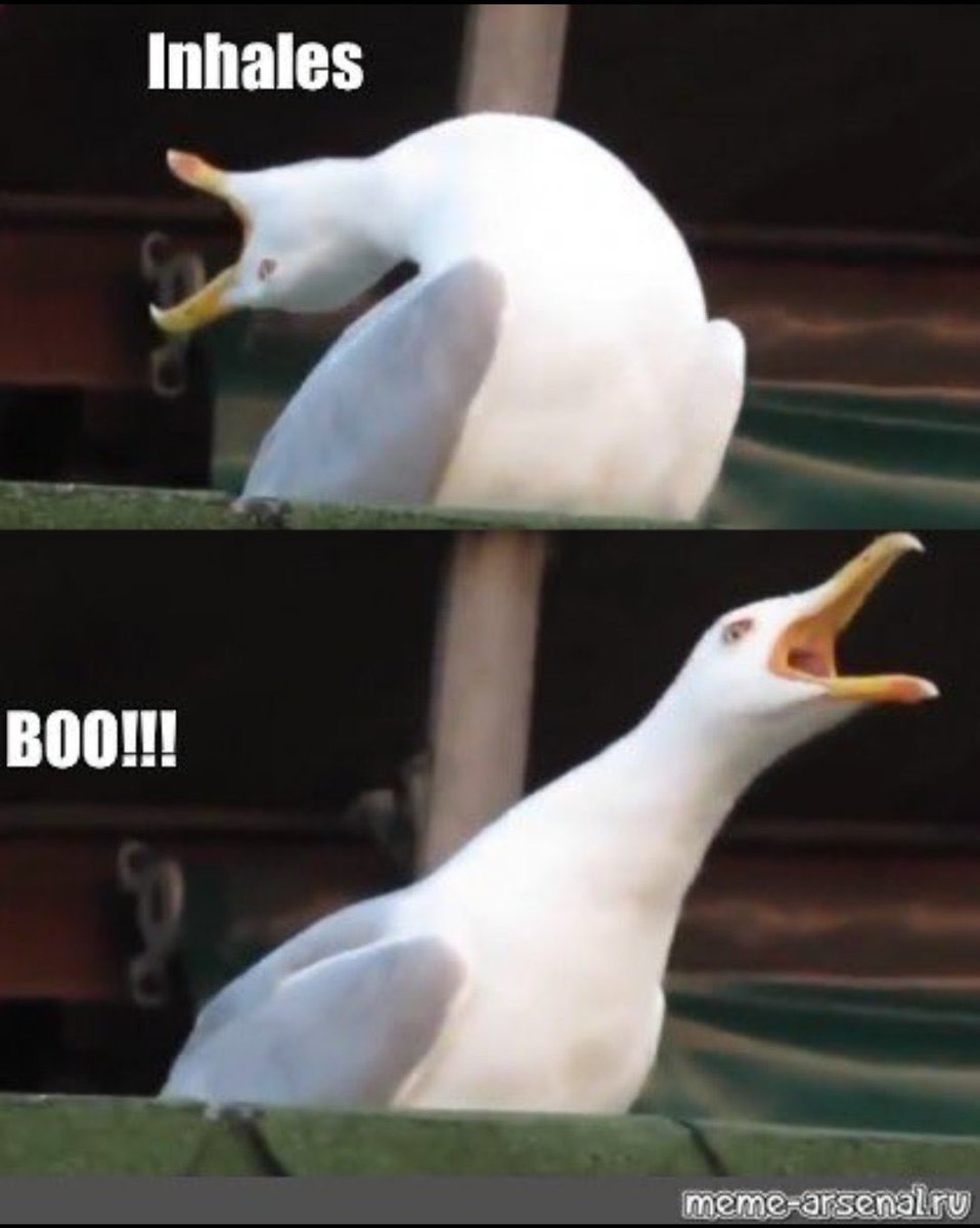 Daniel Room tweet media