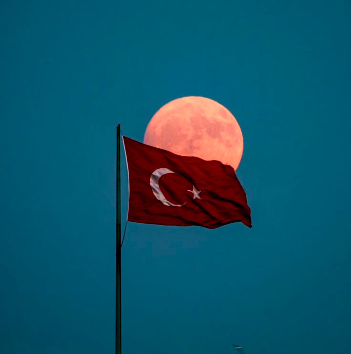 Şanlı Türk Bayrağımıza yönelik provokasyonu lanetliyorum.

Rengini aziz şehitlerimizin kanından alan sancağımız, vatanın her karışında ve sınır boylarımızda sonsuza dek dalgalanmaya devam edecektir. 🇹🇷