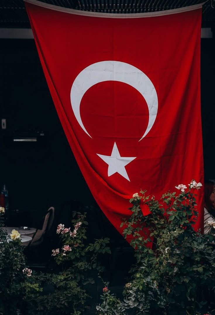 Onlar ülke, sen VATANSIN. 

 #TürkBayrağı