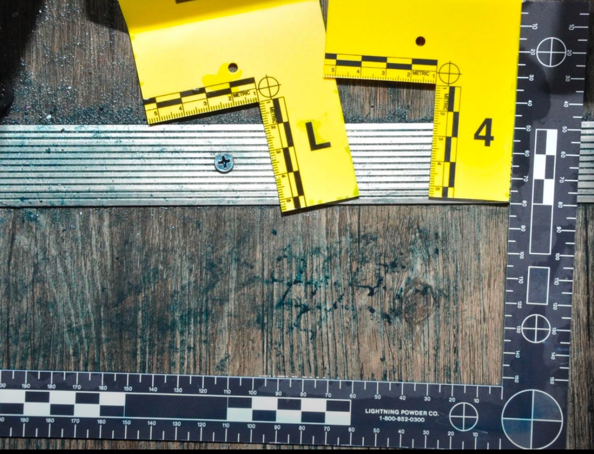 𝐓 𝐄 𝐃 tweet media