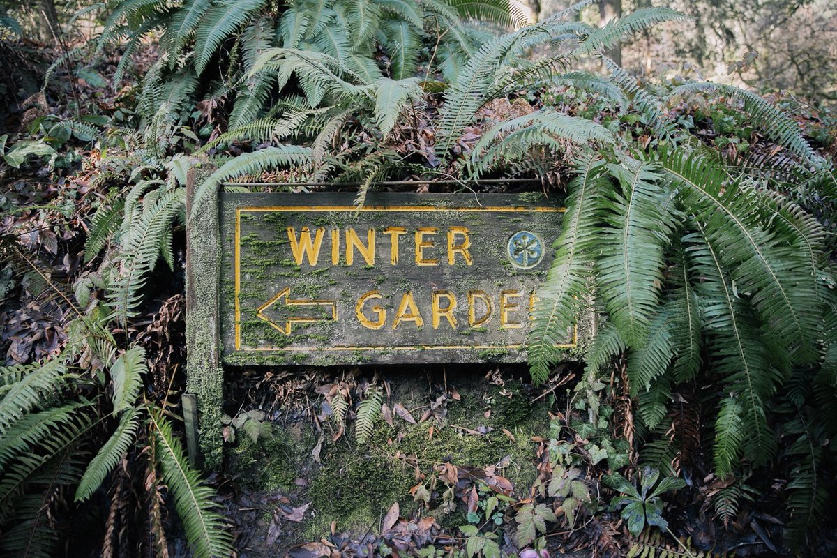 ExploreWAPark's tweet image. There is still so much to see in Hoyt Arboretum during winter months! Click the link below to find the best spots to check out. 👇 
explorewashingtonpark.org/top-3-spaces-t…

#wintergarden #hoytarboretum #thingstodo #portland #pdx #hiking #outdooradventures #pnw
