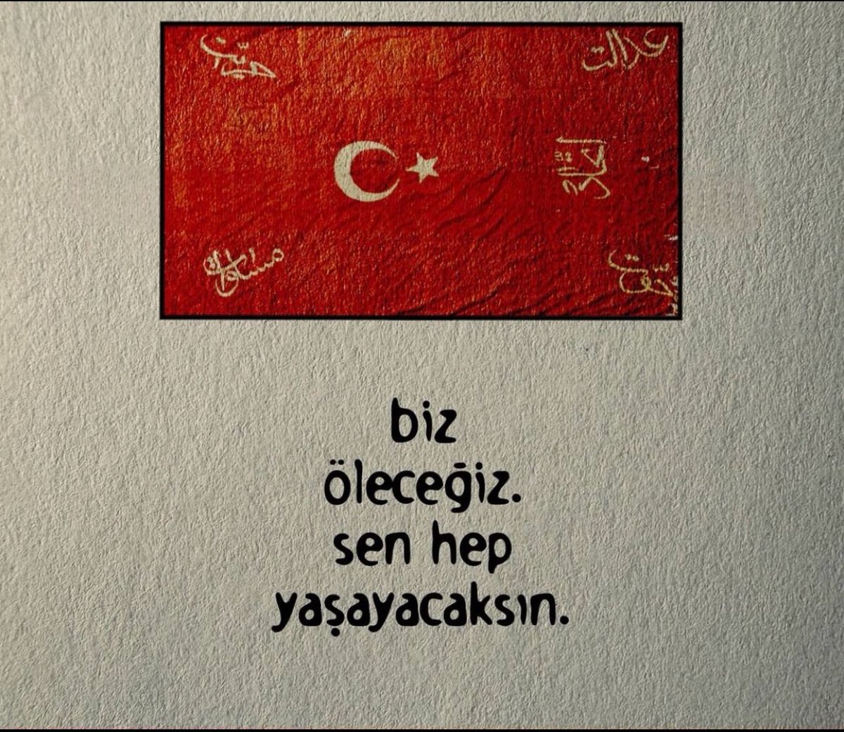 Barışın güvercini, savaşın kartalı
Yüksek yerlerde açan çiçeğim
🇹🇷