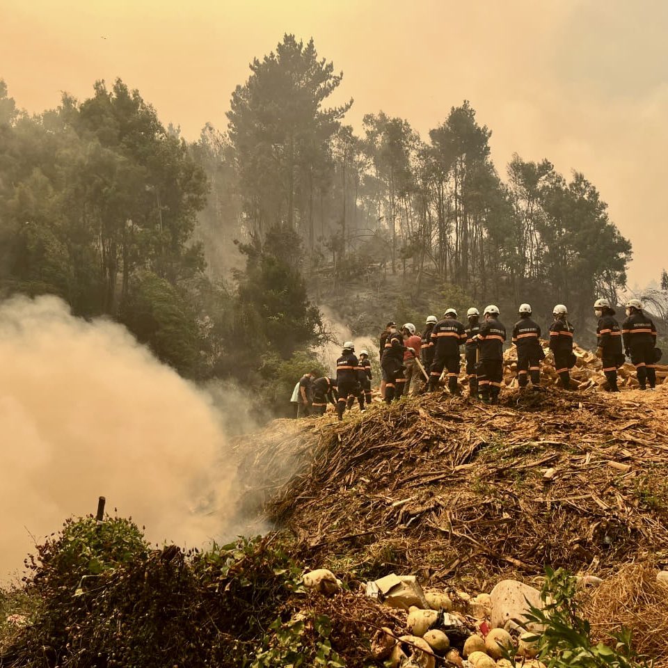 mindefchile's tweet image. La Defensa Civil de Chile, organización de voluntariado dependiente del Ministerio de Defensa Nacional, se encuentra brindando apoyo a las comunidades afectadas por los incendios en la zona centro sur del país.