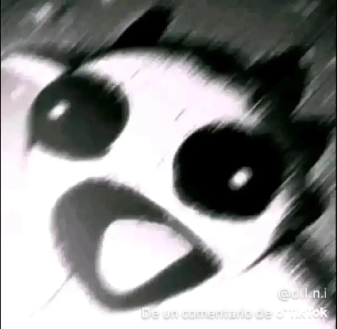 Maxi ortiz tweet media