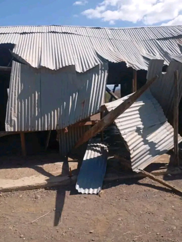 Kibet_bull's tweet photo. The current situation of Akwichatis Primary school in Silale ward, Tiaty constituency.

Singapoor https://t.co/YGUWew78gr