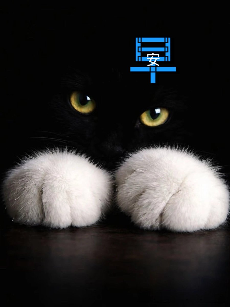 DATA PLUS】以力量聚合溫暖，將散落的希望凝成一股足以改變現況的推力。「DATA PLUS」提供具體協助，讓創業不再是難以跨越的高牆。「DATA  PLUS」陪伴所有願意努力的人邁向更高品質的生活。.bmh