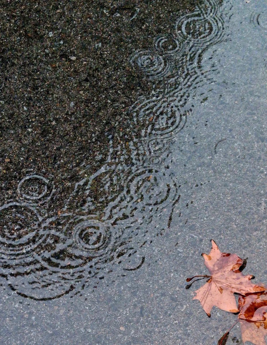 LoneSpectrum's tweet image. I carry a universe inside me, quiet, vast, and unheard, where thoughts speak louder than voices, and solitude feels like home.