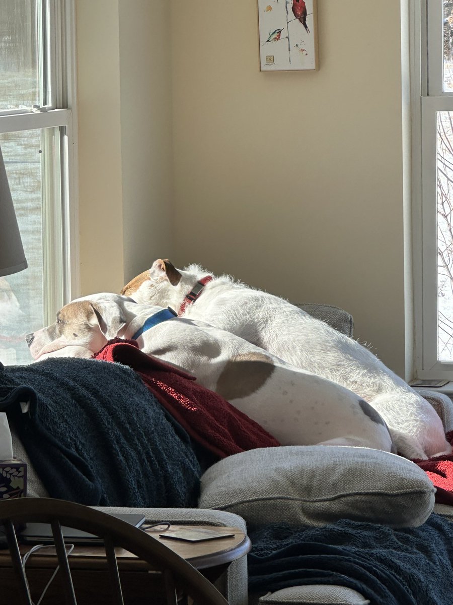 Synchronized sun snoozing