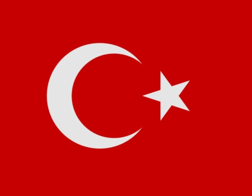 MetinYILMAZ053's tweet photo. Bu bayrağa uzanan eller kırılsın .Yakalamayın sarı torbaya koyun . https://t.co/nd8FtSGtWl