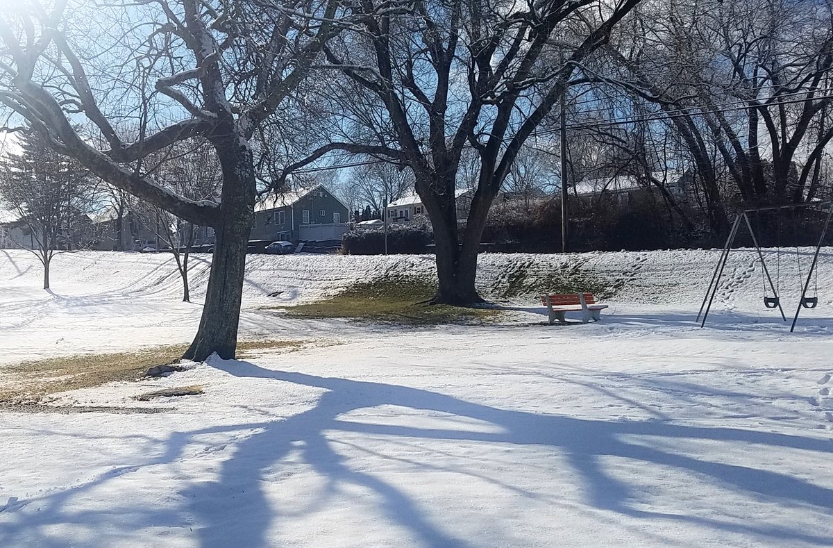 Charlie Boo 💙🐶 tweet media