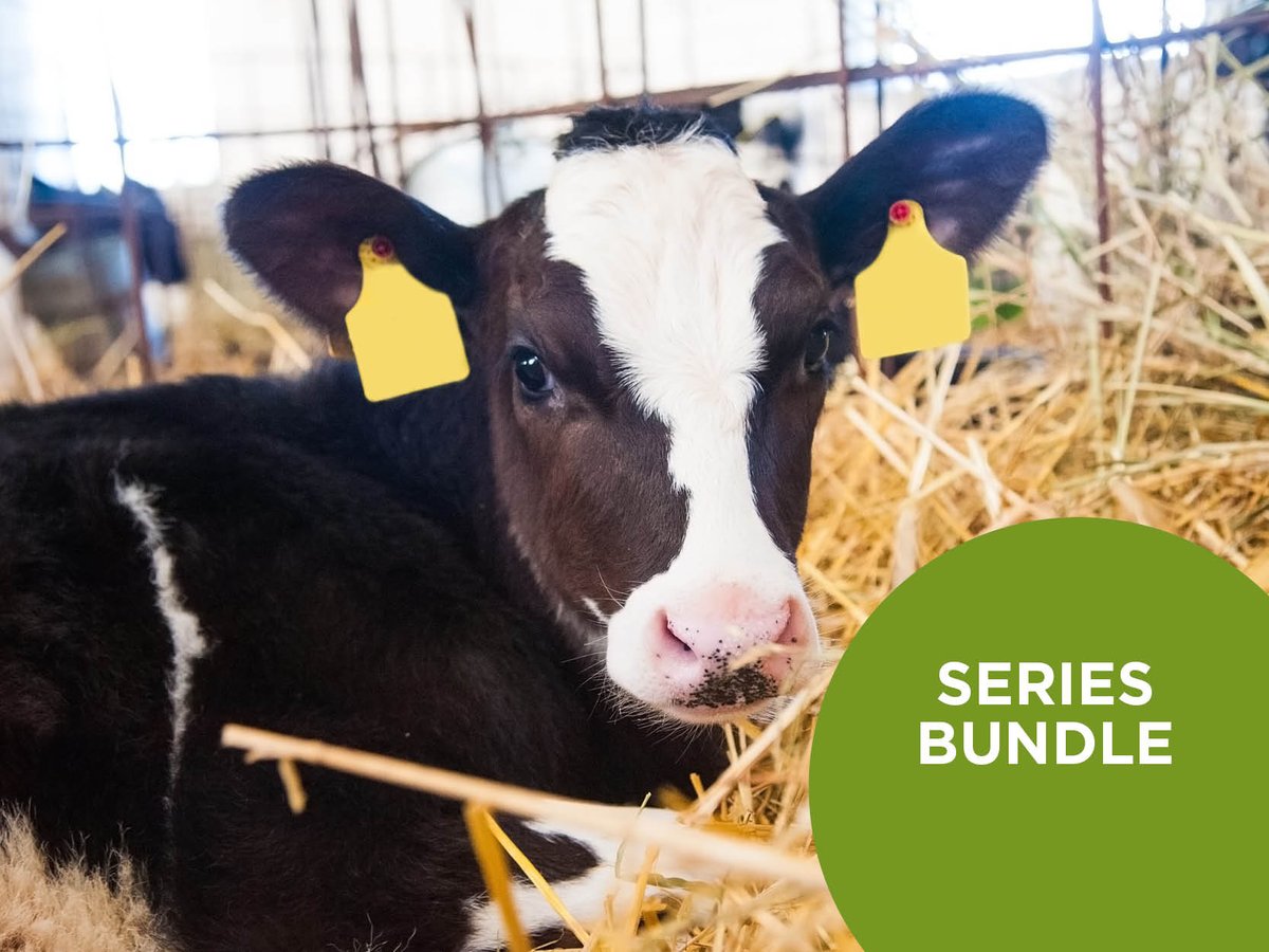 TotalDairy tweet media