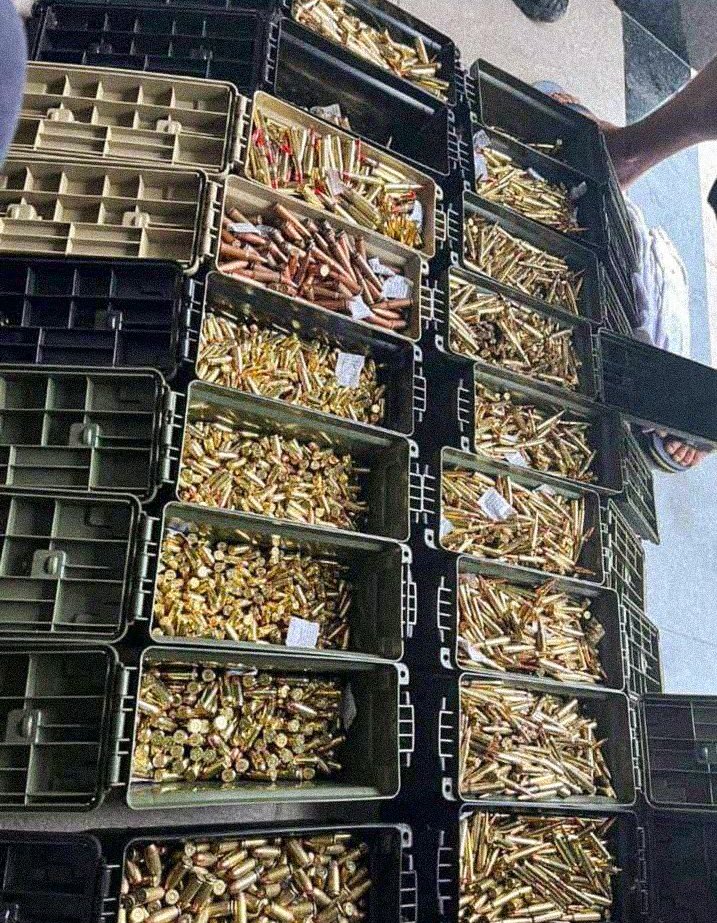 WORLD WAR RIO 🇧🇷🔥 tweet media