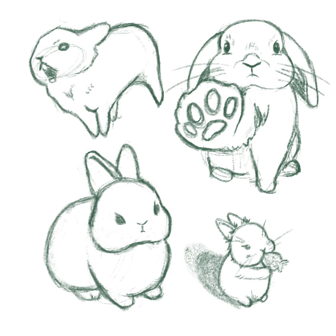 oshibuns's tweet photo. oh hi, I arted some buns, cause buns are cute. #digitalart #procreate #bunnyart https://t.co/EGY5IrbfO8