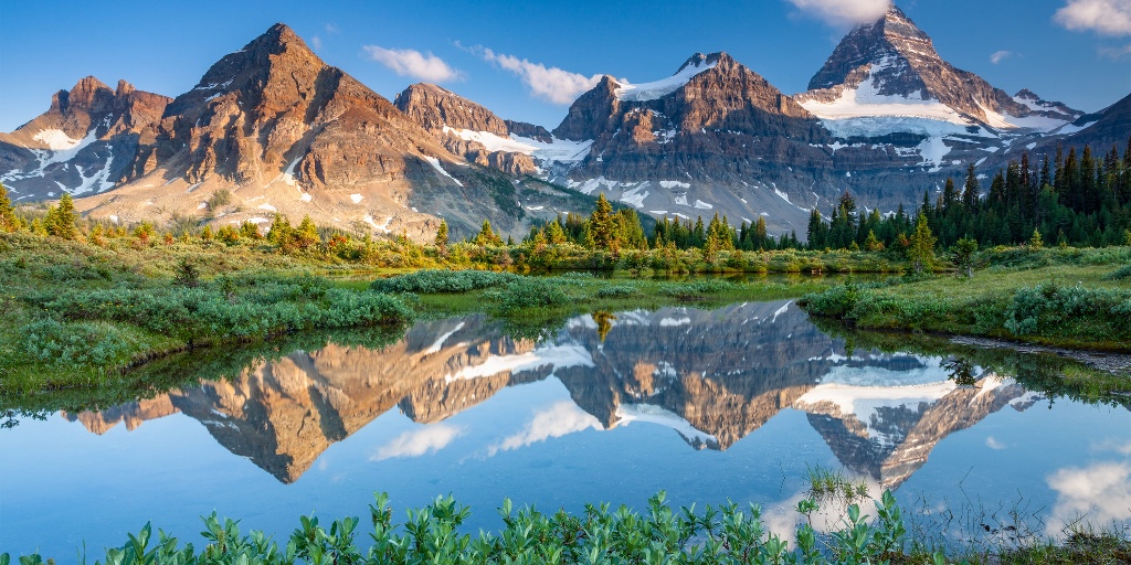 Faculty of Science, University of Alberta tweet media