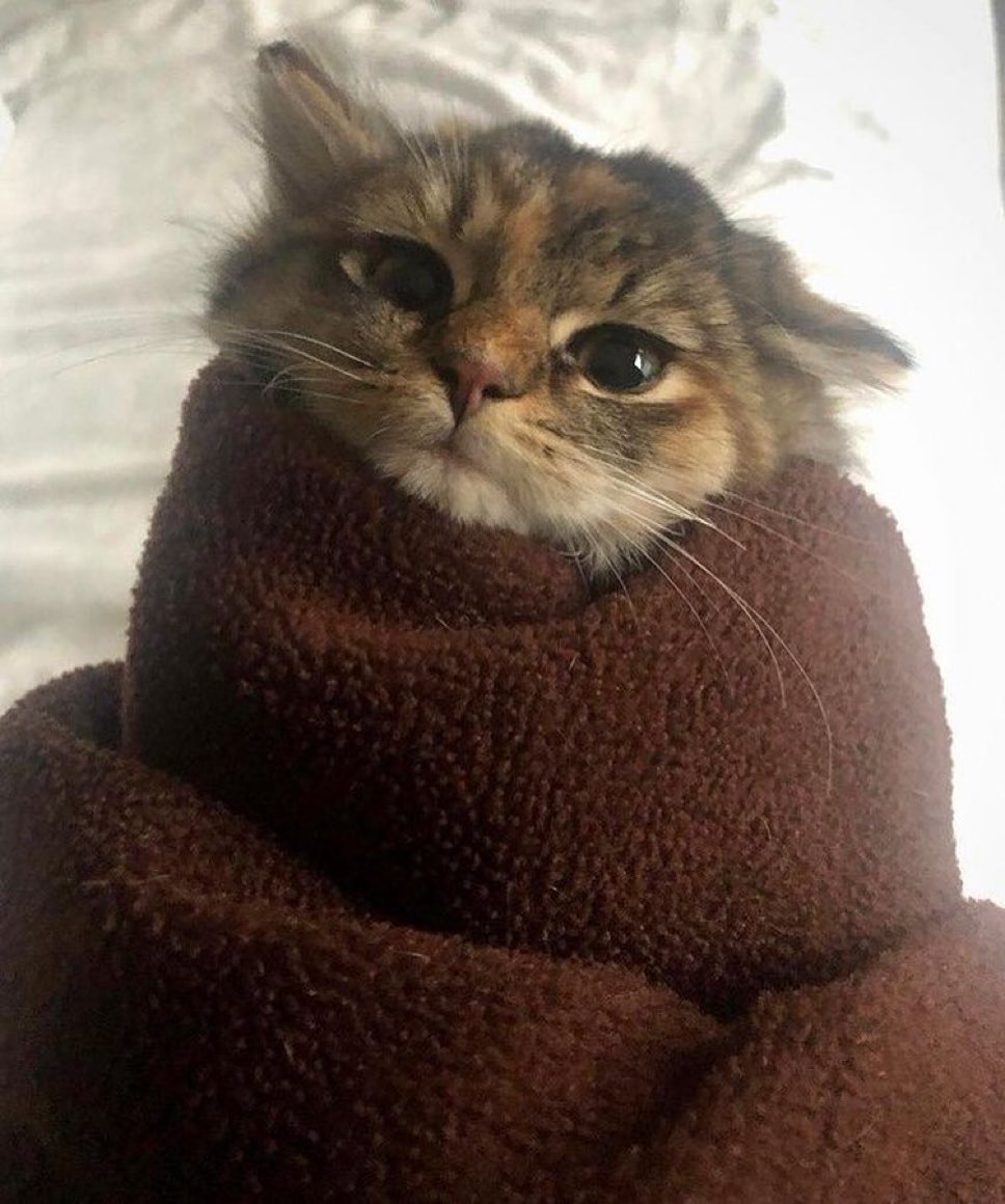 fattami0's tweet image. 