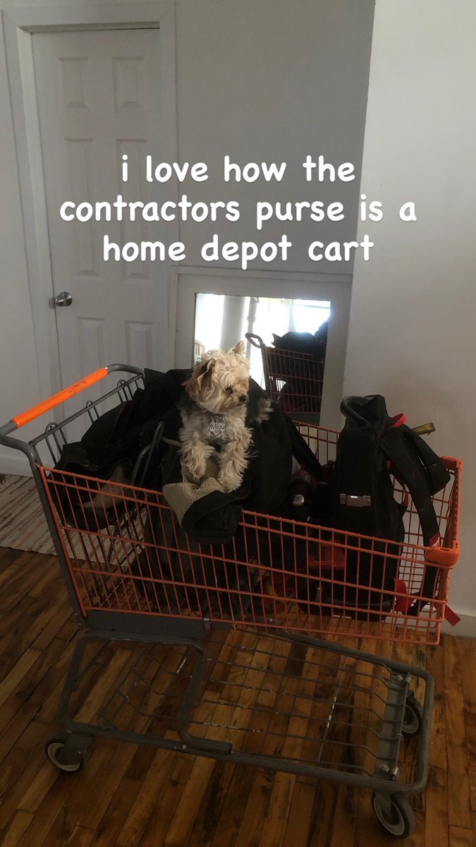 ʅᎥᥣყ tweet media