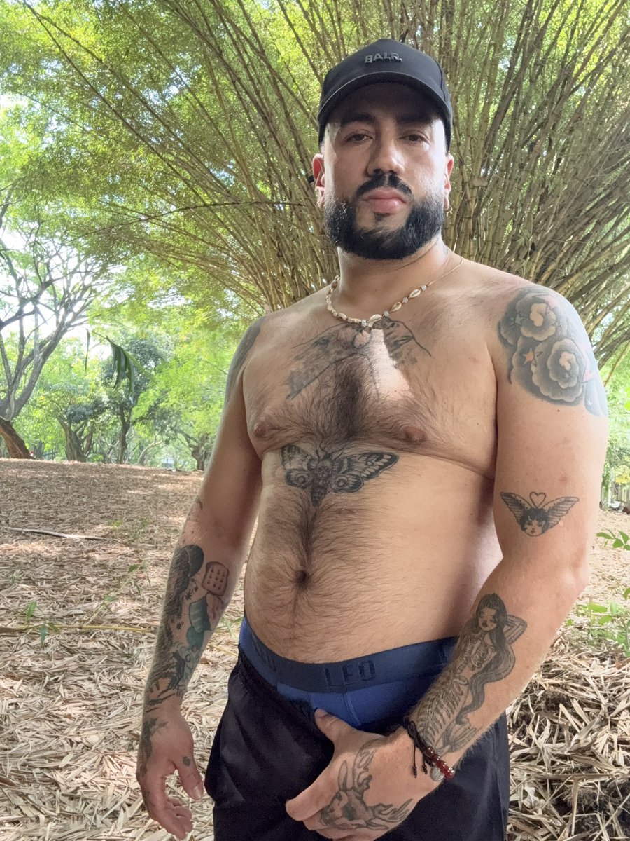 dami✨️🌟🐻 tweet media