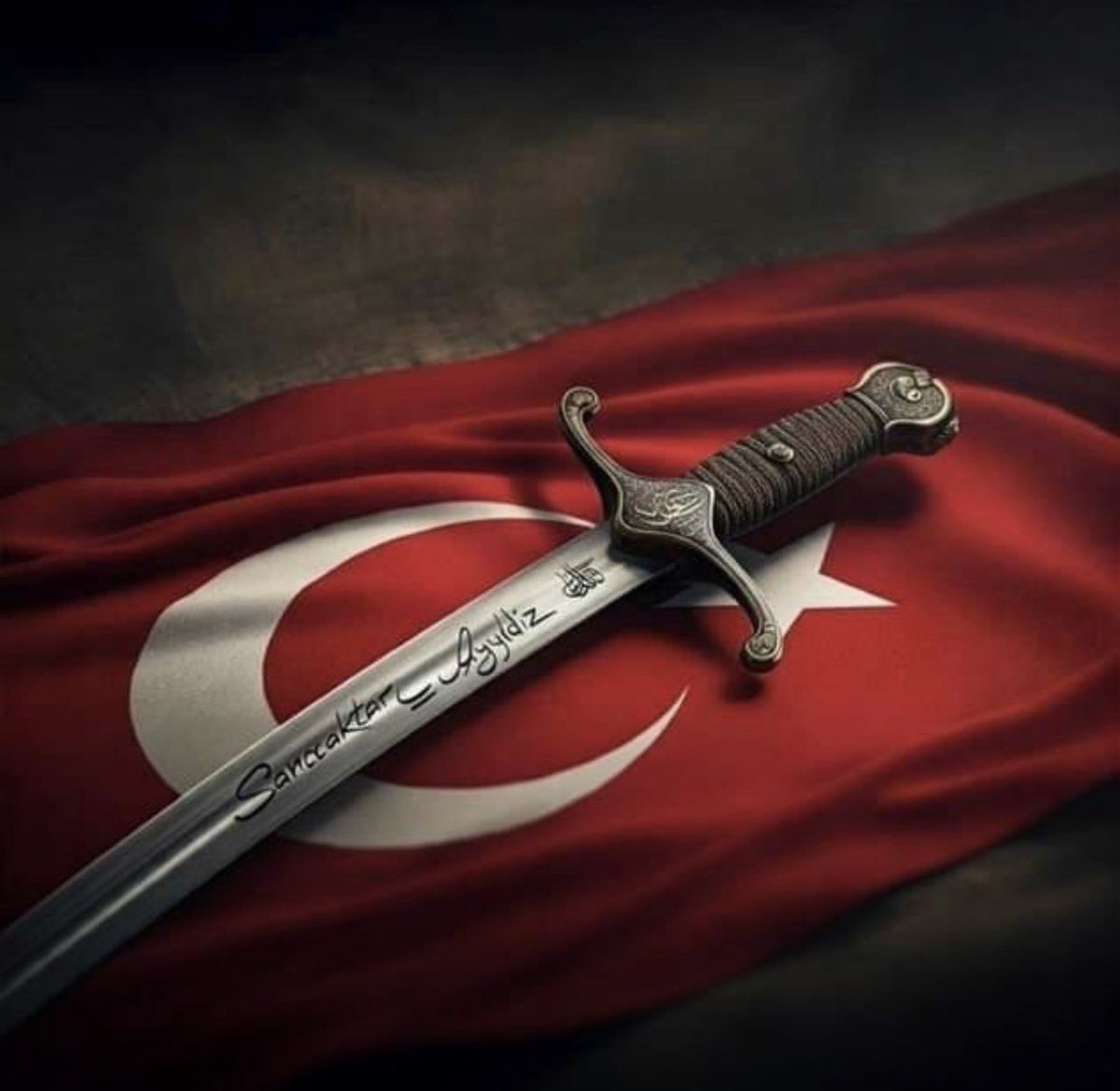 Bayrağımız, birlik ve kardeşliğimizin ortak sembolüdür. Ona uzanan el, karşısında tüm Türkiye’yi bulur!

#BayrakNamustur