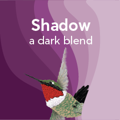 Find out more about our Coffee of the Month for January
open.substack.com/pub/birdsandbe…
#BirdFriendlyCoffee