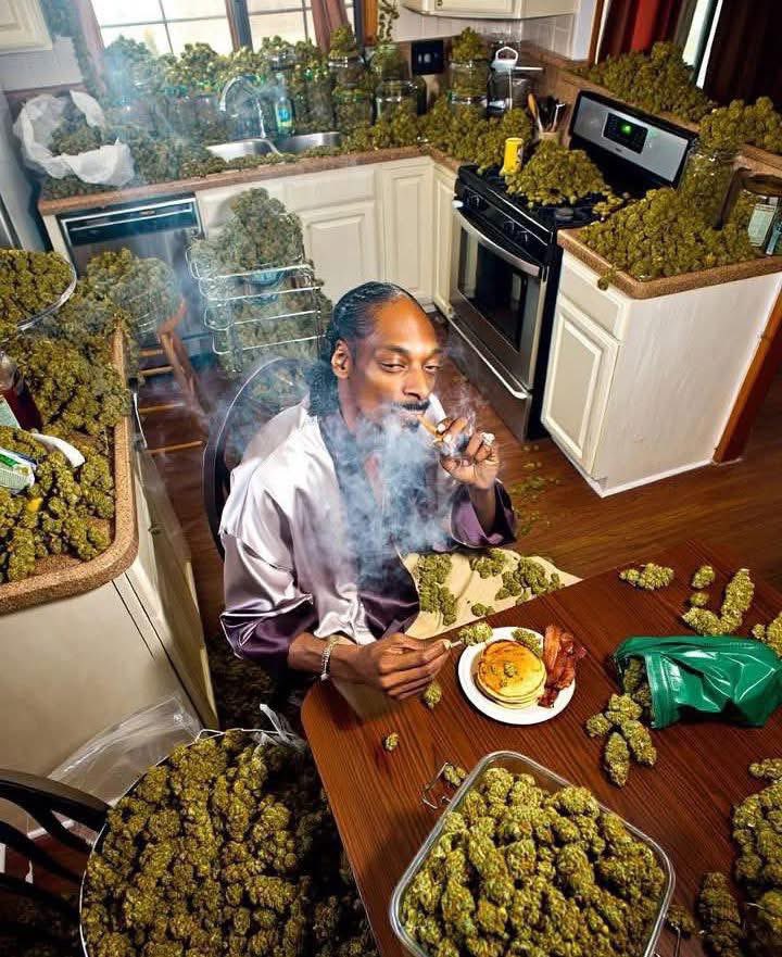 _StonersRUs_'s tweet image. Smoke weed everyday 😎