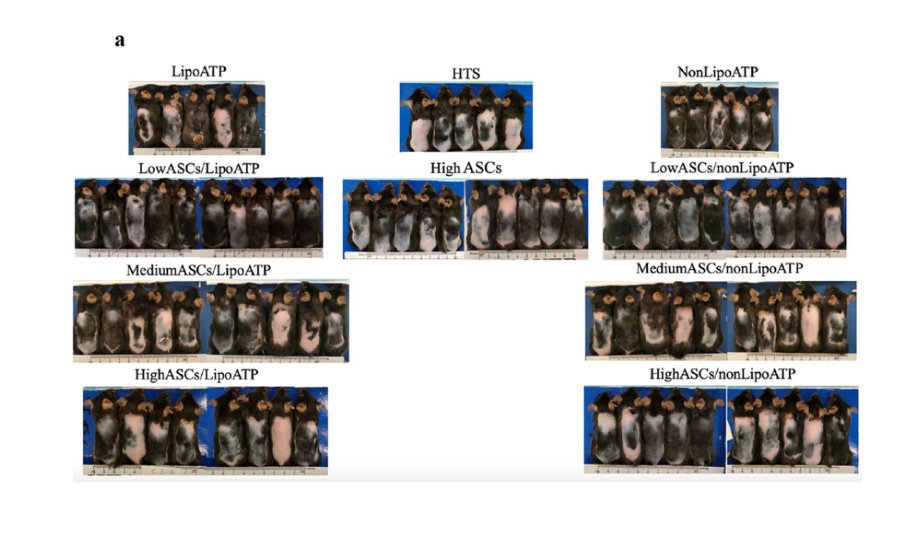 Chudlord tweet media