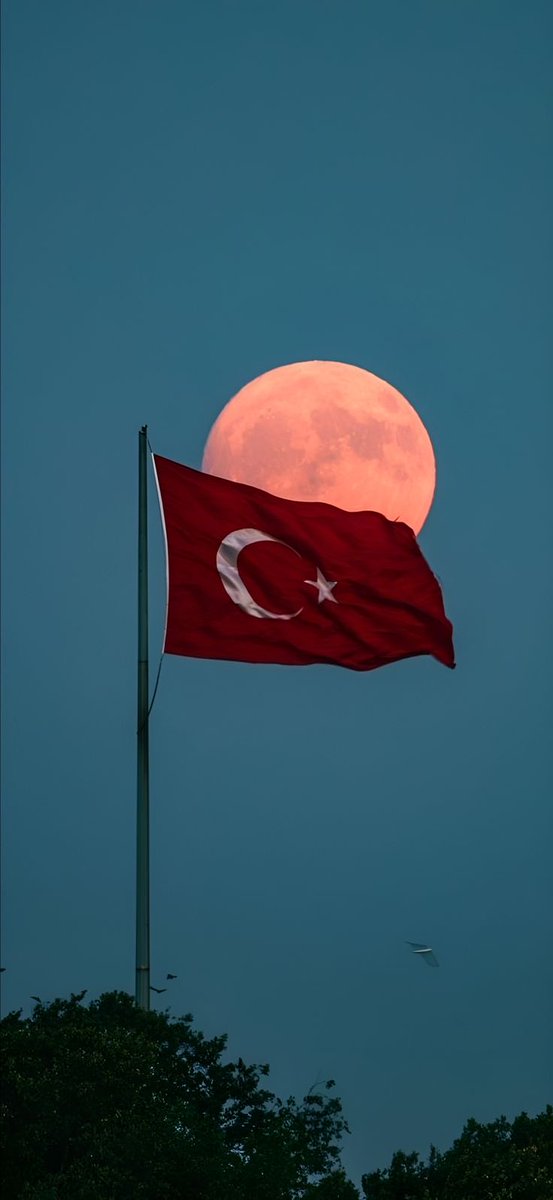 Şimdi kimse karnından konuşmasın. Bayrağıma el uzatan soysuzları kardeşimizmiş gibi pazarlamayın.

O vatansızların eli kırılacak!!!

#TürkBayrağı
#BayrakNamustur