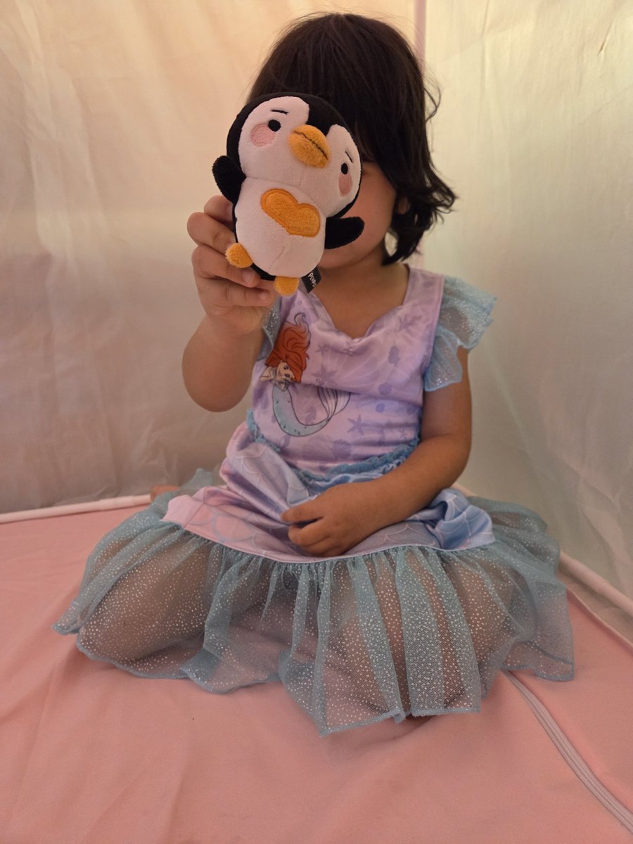 phoqueenv's tweet image. Okcat needed a friend, so Penpen joined him, but then Penpen went to school instead of staying home, so he got lost 😭 We thought we'd never see him again, but he came home after a few days! Hopefully he enjoyed his adventure, because he's not allowed to go back to school 🤣