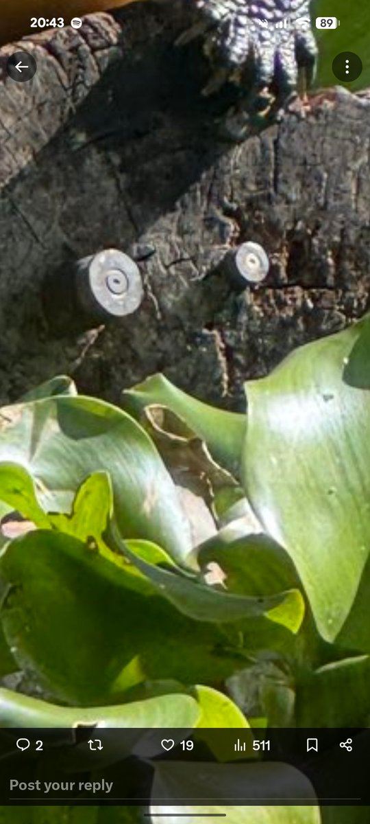 CAMRA Cricket Club tweet media