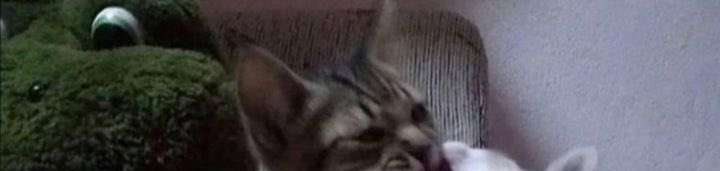 ونتر tweet media