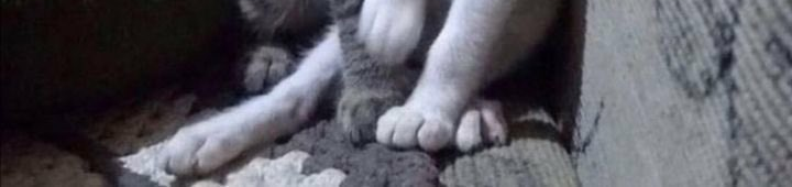 ونتر tweet media