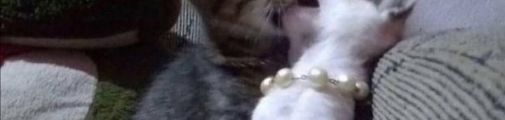 ونتر tweet media