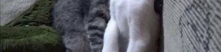 ونتر tweet media