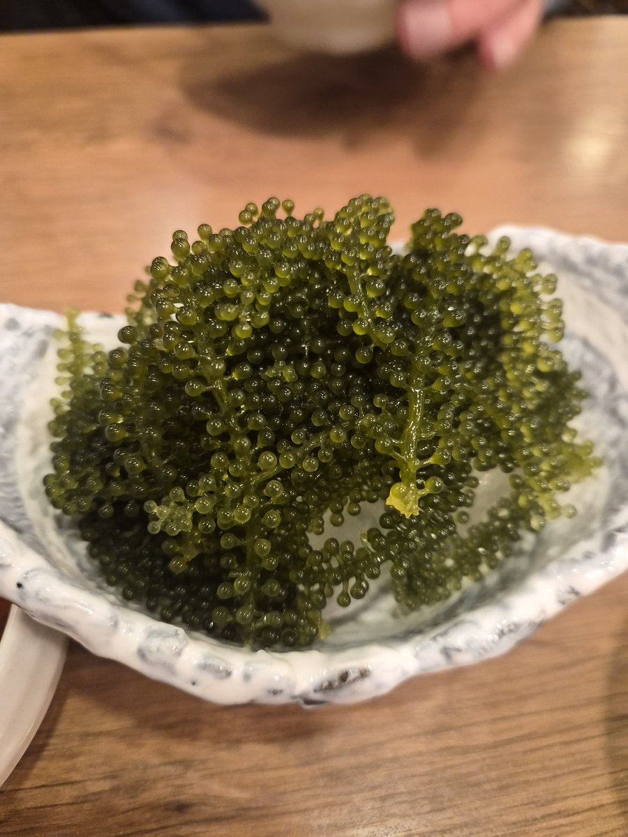 mk120g's tweet photo. 大厄を迎えた一発目に食ったのは
ジャスミンハイに海ぶどうでしたw https://t.co/60Uhq2hv1w