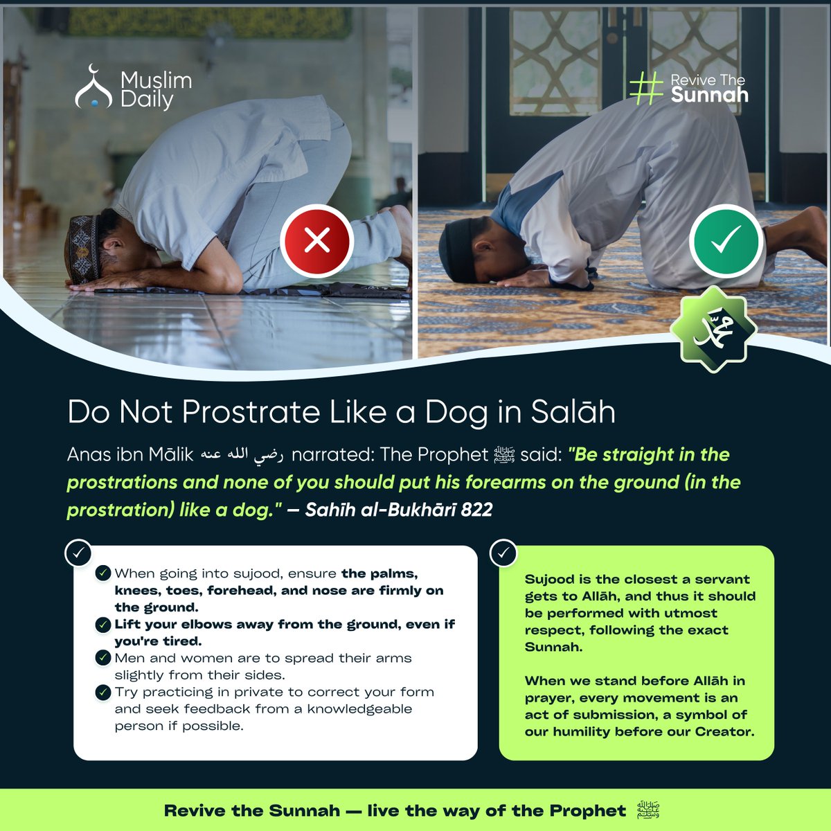 MuslimDaily247's tweet photo. Many of us unknowingly place our forearms flat on the ground during sujūd, especially when tired or relaxed. But did you know this was explicitly prohibited by the Messenger of Allāh ﷺ?
#MuslimDaily #YourIslamicCompanion #ReviveTheSunnah #DailyIslamicReminder #quranandsunnah https://t.co/g30xXRcYaC