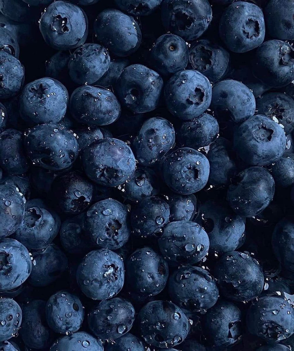 VittorioVitt0ri's tweet image. Aesthetics matter.