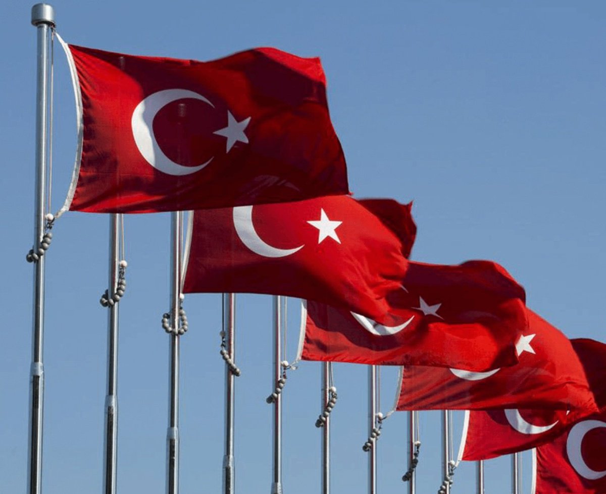 feryal zülal kılıç tweet media