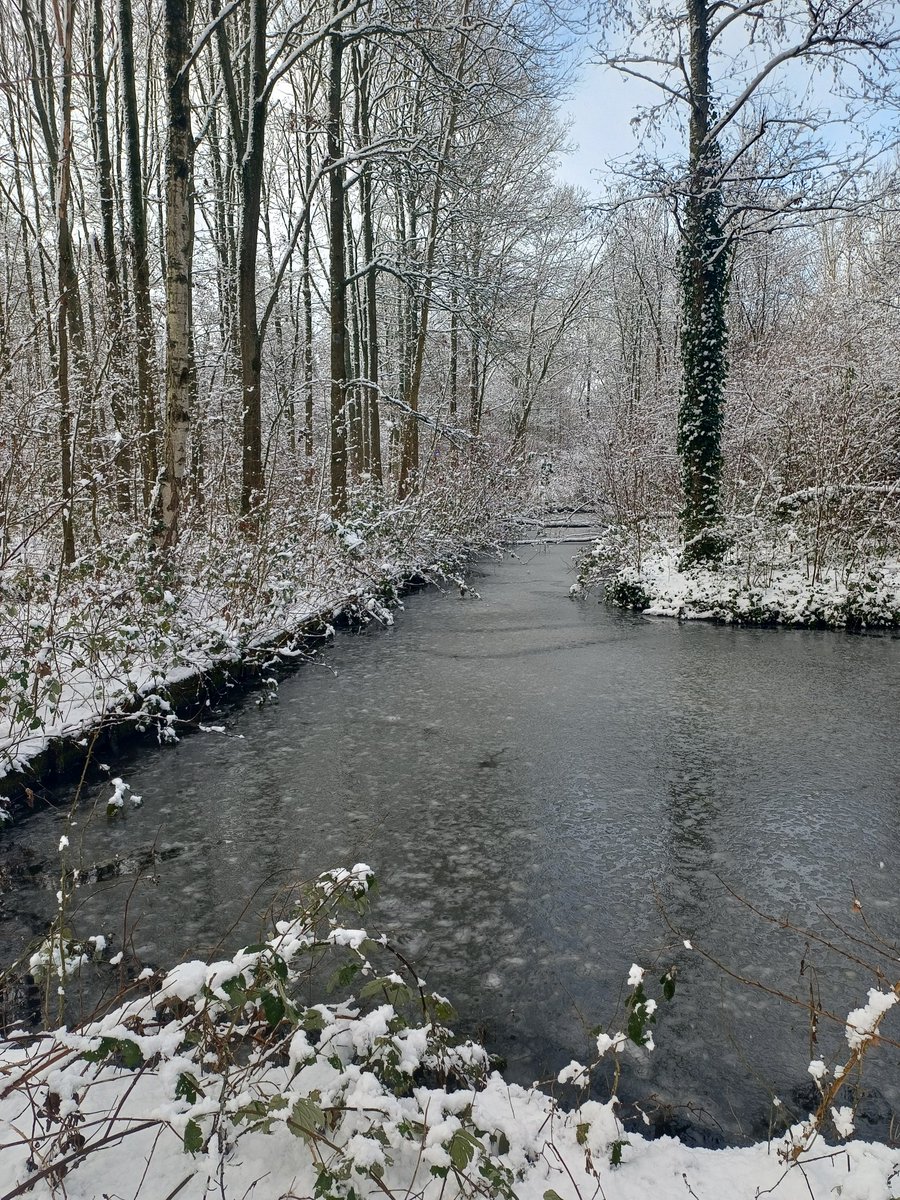 William Gomes tweet media