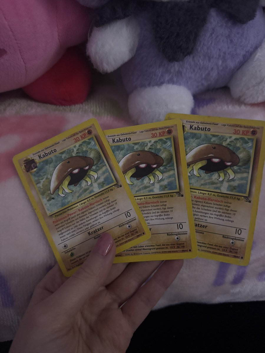 dokodiary's tweet photo. @KabutoKing_ 
I just realized I have three German kabutos https://t.co/gYRyhwhCN0