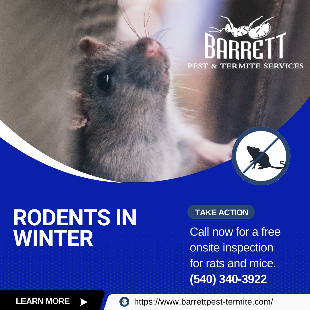 BarrettPest's tweet photo. Did you know mice can squeeze through openings as small as a dime to get inside your home during winter? January is one of the busiest months for rodent infestations. Schedule a consultation
 https://t.co/Xhshktnp5a https://t.co/mncjSoxvlm