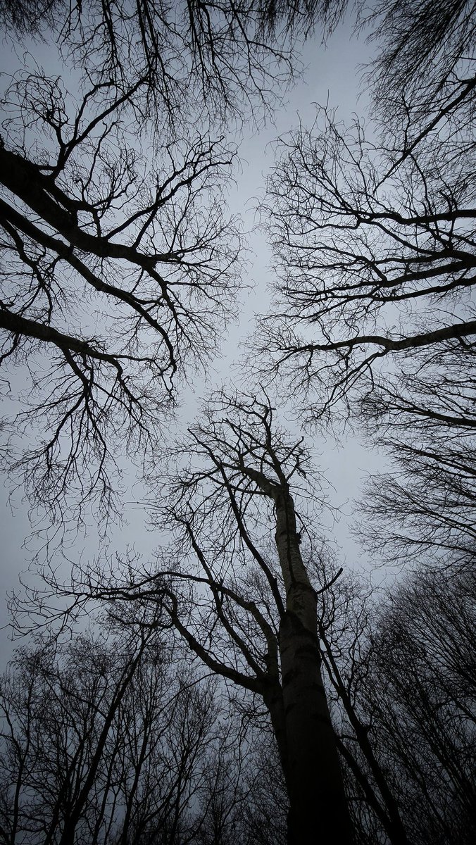 simondavi1's tweet image. 