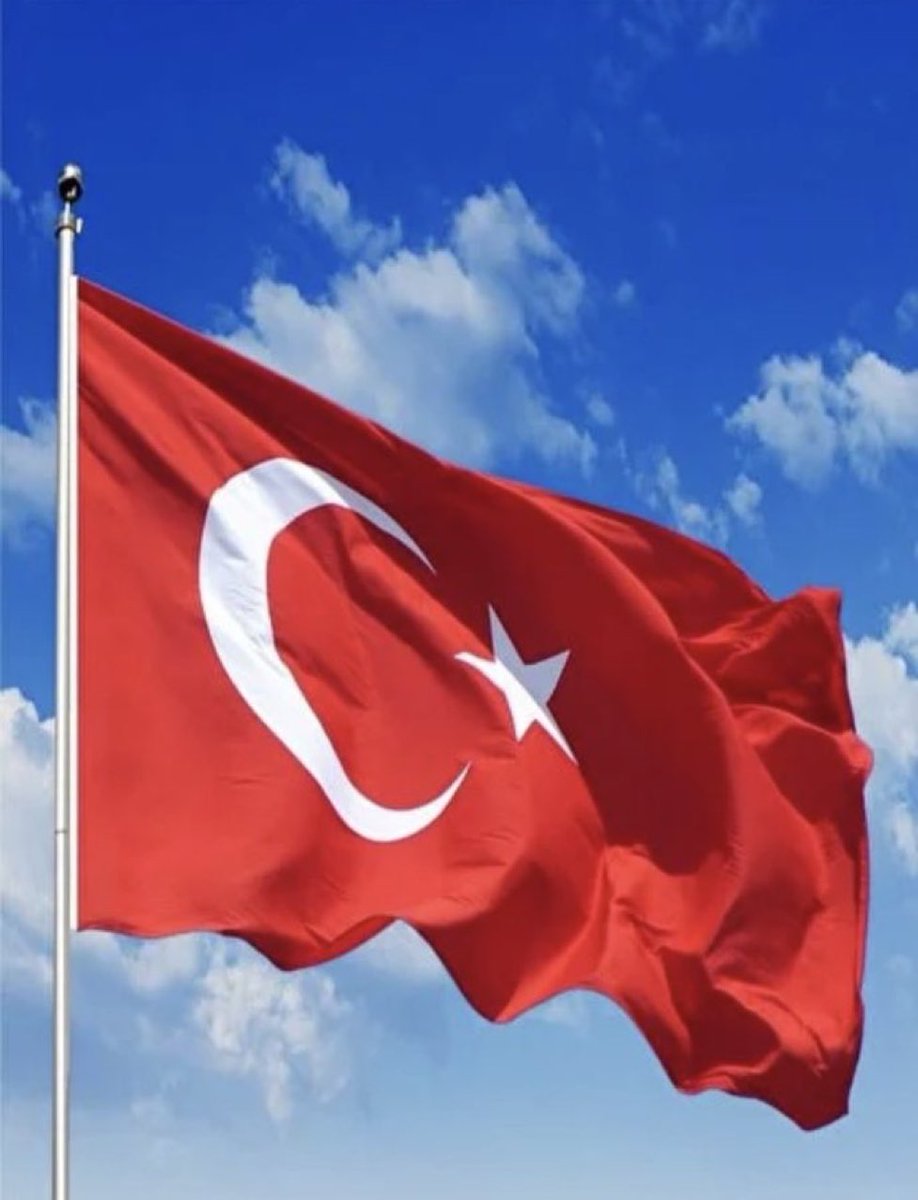 Al Bayrağımız, ülkemizin bağımsızlığını ve bölünmez bir bütün olarak yaşama iradesini ortaya koyan kutsalımızdır. Ona kalkan her el birliğimizi bozmaya çalışan hainliğin elidir.

AYYILDIZLI TÜRKİYE’M

Bu ellerde doğdum bu ellerde öleceğim
Senden başka bir yerim yurdum yok